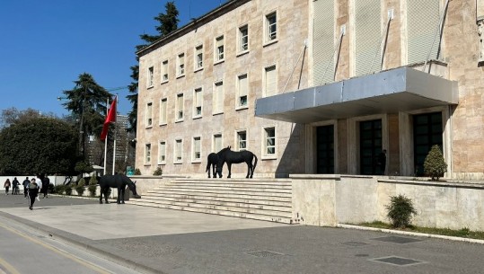 FOTOLAJM/ 3 kuaj të zinj në derë të Kryeministrisë, zbulohet arsyeja