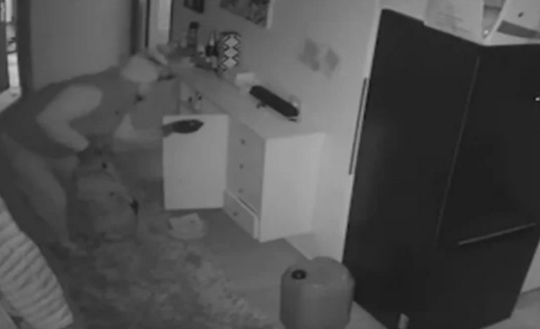 PAMJET/ Iu hynë në shtëpi të maskuar 4 ditë pasi i grabitën, policia e Durrësit: E keni bërë vetë