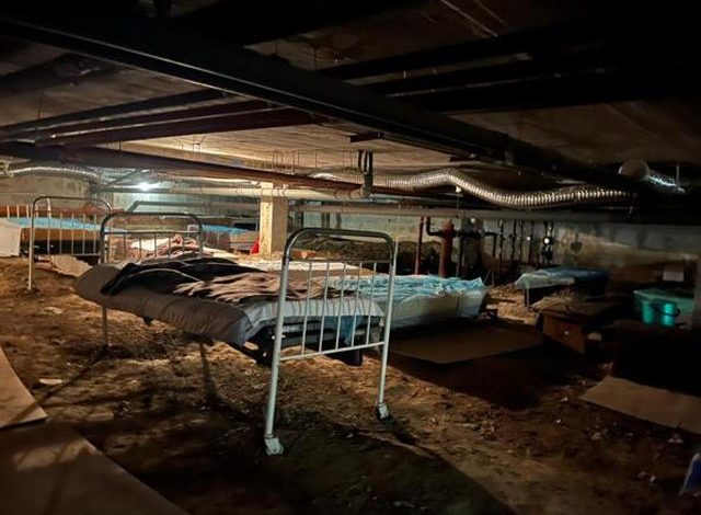 LINDJA NËN FRIKËN E VDEKJES/ Si i sjellin në jetë fëmijët e tyre qindra gra në Ukrainë mes luftës dhe bombardimeve