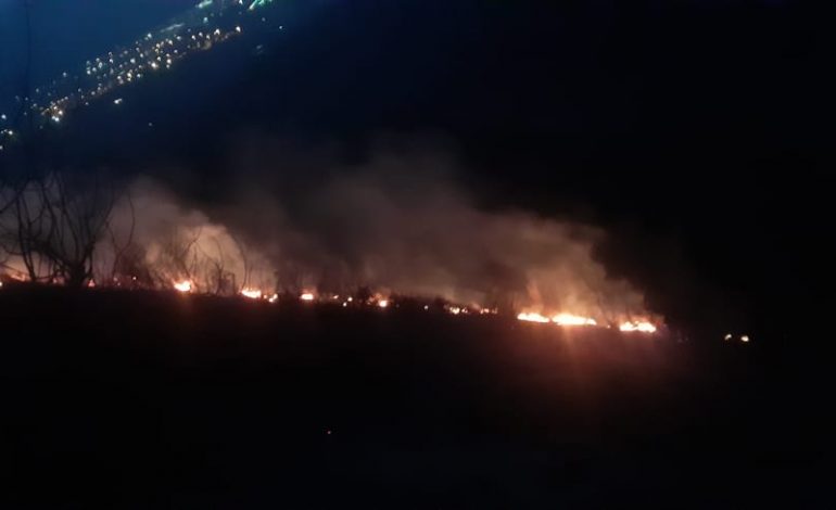 ZJARR NË KODRËN E MIMIASIT NË BERAT/ Në flakë pylli me pisha, terreni i vështirë vështirëson punën e zjarrfikësve