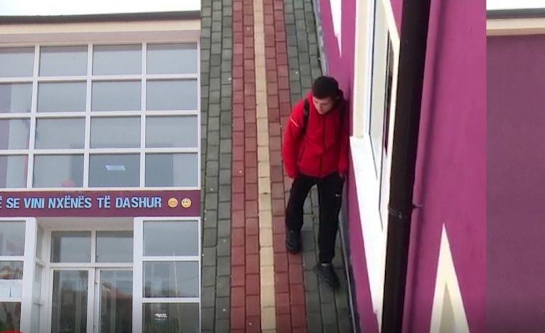 PËRJASHTUAN NXËNËSIT ME AFTËSI NDRYSHE/ Pezullohet drejtoresha e shkollës dhe drejtori i zyrës Arsimore Divjakë