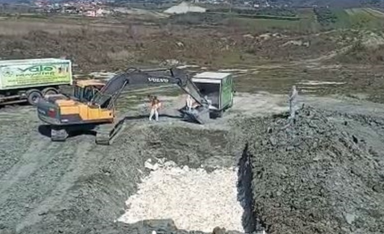 GRIPI I SHPENDËVE/ Ministria e Bujqësisë: 120 mijë pula po asgjësohen, vezët u hoqën nga tregu