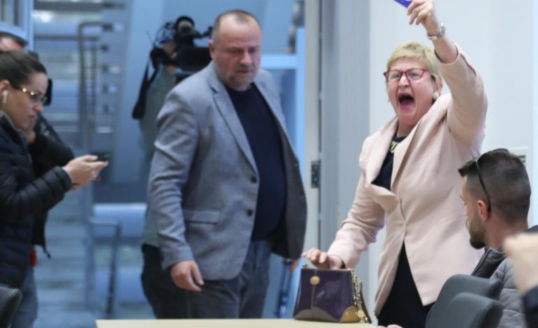 FOTOLAJM/ Incidenti në selinë blu, momenti kur përkrahësja e Sali Berishës prish konferencën e Aliebajt!