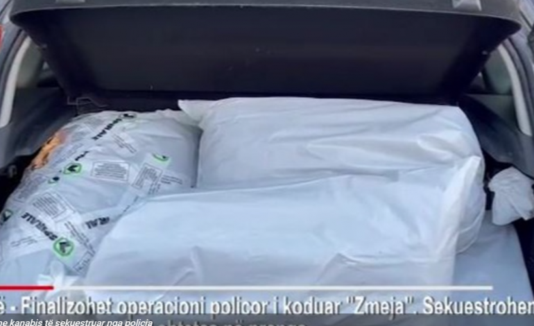 PO TRANSPORTONIN 36 KG KANABIS/ Arrestohen dy të rijnë në Mirditë! Në shtëpi mbanin pistoletë dhe municione