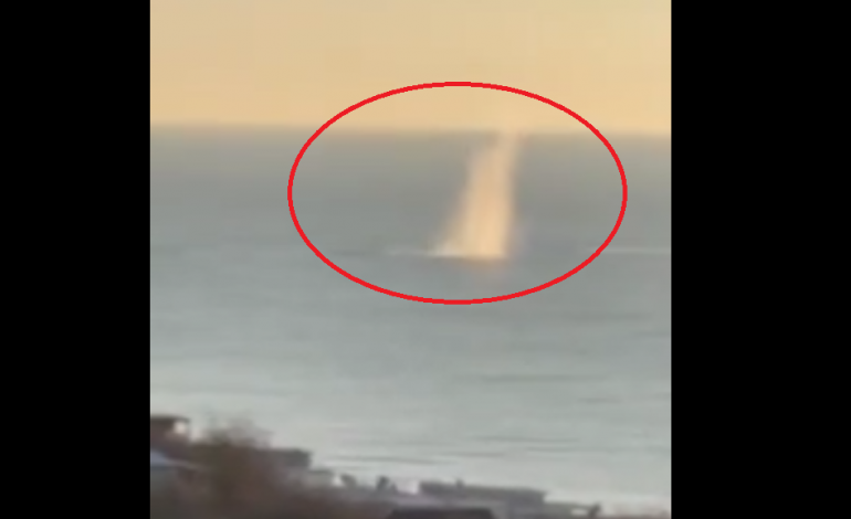 PREDHA DHE DALLGË QË NGRIHEN/ Betejë anijesh në Odessa, ukrainasit shkatërrojnë mjetin lundrues të rusëve