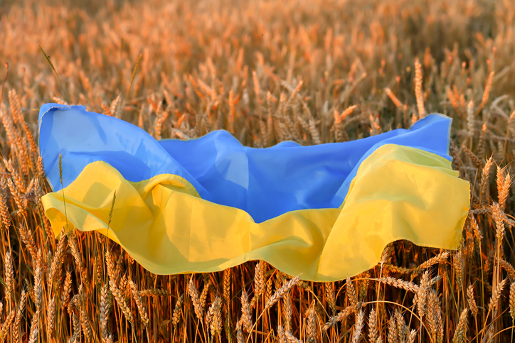ALARMI/ Zinxhiri i furnizimit me ushqim në Ukrainë po “shpërbëhet”, dyqanet dhe depot në disa qytete janë bosh