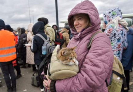 UKRAINA DY JAVË NË LUFTË/ Më shumë se 1 milionë qytetarë janë larguar drejt këtij shteti fqinj, polakët hapin dyert e shtëpive