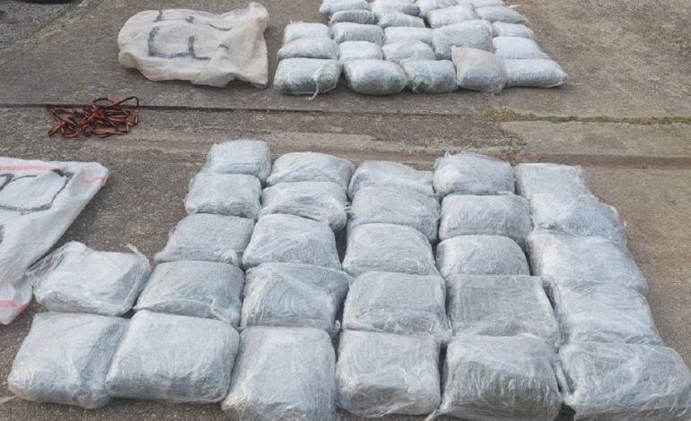 VINTE NGA SHQIPËRIA/ Policia kufitare malazeze sekuestron 54 kg marijuanë