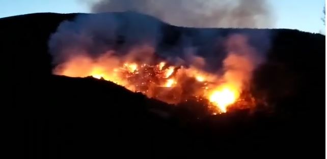 PAMJET/ Zjarr i madh midis fshatit Peshkëpi dhe Kropisht të Vlorës, digjen plantacionet me ullishte