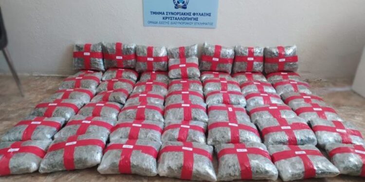 KAPEN 53 KG MARIJUANË NË KUFRIN SHQIPTARO-GREK/ Vendoset në pranga i riu