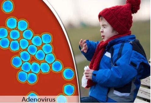 HEPATITI I PANJOHUR/ OBSH: 169 fëmijë të prekur në 12 vende, transplant për 17 fëmijë, një ka ndërruar jetë