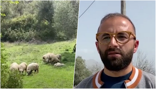 E RRALLË/ Fshati me 5 banorë në Shqipëri, flet i riu që pret nuse që ta popullojë sërish!