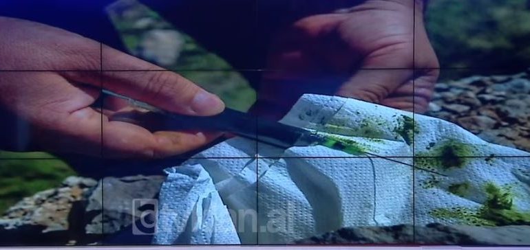 NXJERR FOTON/ Artan Hoxha: Ky është vaj kanabisi i prodhuar ilegalisht në Shqipëri