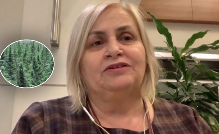 LEGALIZIMI I KANABISIT/ Ekonomi: Si do bëhet kultivimi dhe tregtimi, ndikimi në ekonomi