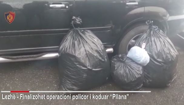 “SHTËPI” BARI NË LEZHË/ Sekuestrohen 26 kg kanabis në 3 thasë, 2 të arrestuar
