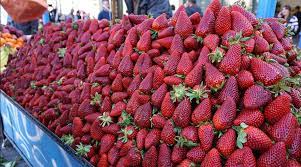 DUHET T’I KONSUMONI SA MË SHUMË/ Një luleshtrydhe ka më shumë vitaminë C sesa një portokall