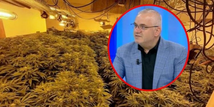 “KA SUPER PRODHIM”/ Artan Hoxha zbulon numrin e “shtëpive të barit” në Shqipëri: Janë zbuluar…