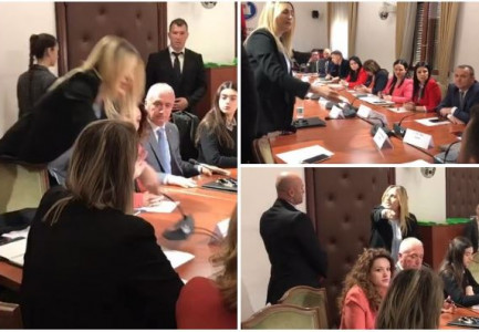 “TË TË VIJË TURP”/ Sherr në Komisionin Parlamentar, deputetja e PD përplas tavolinën dhe i heq mikrofonin ministres: E papërgjegjshme