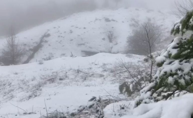 MOTI ME DËBORË/ Bllokohen 4 fshatra në Skrapar, nën pushtetin e reshjeve edhe…