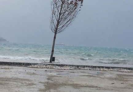 PËRKEQËSOHET MOTI/ Bashkia Vlorë apel qytetarëve: Shmangni lëvizjet e panevojshme, priten stuhi të forta