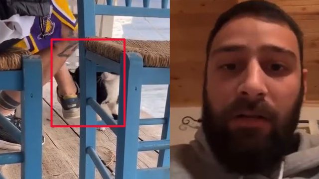NDODH EDHE KJO/ Shqiptari në Greqi arrestohet se shkelmoi dhe hodhi në det një mace