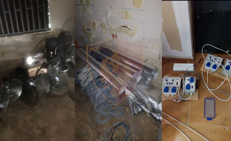 NJË TJETËR “SHTËPI BARI” KAPET NË TIRANË/ Arrestohet i riu nga Peqini
