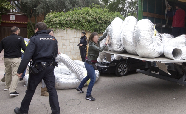 POLICIA “U PRISH” PLANET/ Dy shqiptarë të krye të bandës që kultivonte marijuanë në Spanjë, çmontohet grupi
