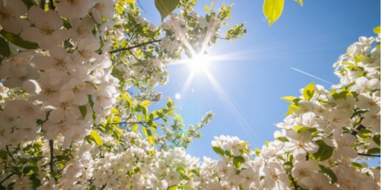 DIELL DHE RRITJE TEMPERATURASH/ Parashikimi i motit për sot