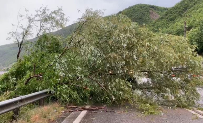 “ÇMENDET” MOTI NË ELBASAN/ Stuhi shiu e breshër, era shkul pemët e rrëzon gurët nga lartësia