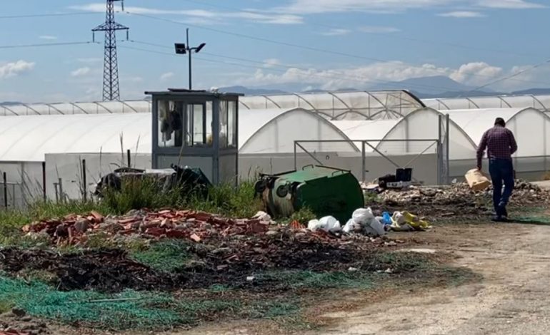 DETAJET/ Vrasja e rojës në Fier në vendin e punës, policia shoqëron disa persona