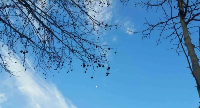 ATLTERNIME KTHJELLIMESH DHE VRANËSIRA/ Njihuni me parashikimin e motit për sot