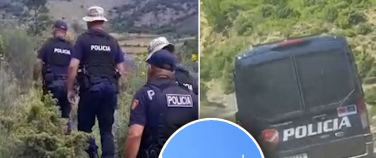 BERAT/ Kontrolle masive për drogë në sera, tunele dhe banesa të braktisura. Në aksion mbi 100 efektivë policie