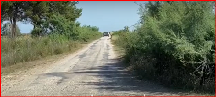 PAMJET/ Policia aksion në Vlorë, kontrolle për kanabis