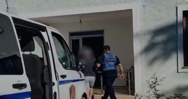200 FIDANË KANABISI NË NJË PARCELË RRUSHI/ Një i arrestuar në Mallakastër