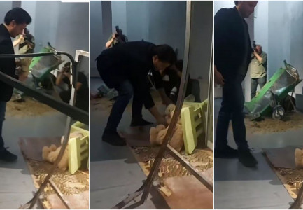 “JEMI DËSHMITARË TË FERRIT…”/ Rama dhe Abazoviç vendosin arushë në nder të fëmijëve që humbën jetën nga pushtimi rus në Ukrainë