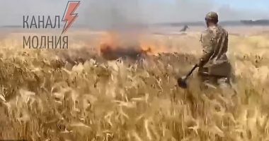 PAMJET/ Beteja për bukën: Rusët djegin arat me grurë, ushtarët ukrainas fikin flakët