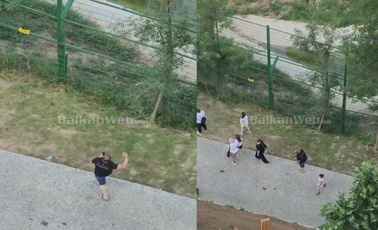 PAMJET/ Qytetarët irritohen ndaj vandalit që gjuajti me gurë tigrin, dalin në mbrojtje të Kopshtit të ri Zoologjik