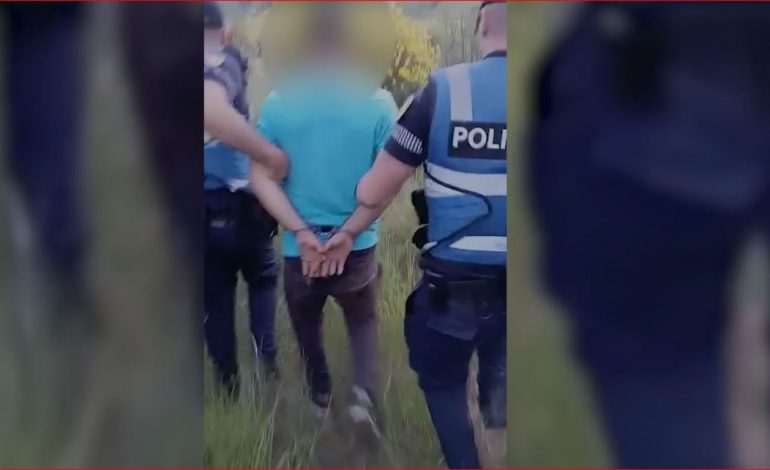 KULTIVONTE KANABIS/ Arrestohet 39-vjeçari në Mallakastër, si tentoi t’i shpëtojë policisë