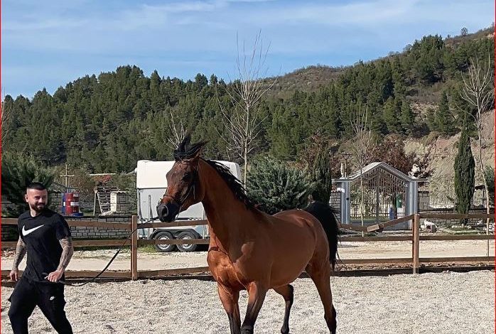 E KALUARA E ERRËT/ U vra sot në Tiranë në një atentat me eksploziv, 27-vjeçari i akuzuar për vrasje edhe në Greqi