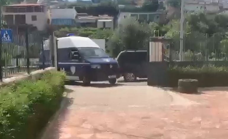 KULTIVONIN BIMË NARKOTIKE/ Arrestohen dy persona në Himarë (EMRAT)