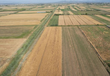 LUFTA NË UKRAINË/ Fermerët shqiptarë rikthehen tek mbjellja e drithërave