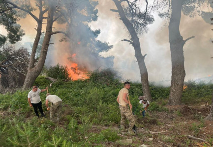 SAZANI NË FLAKË/ Pse nuk po ndërhyhet nga ajri? Kreu i Emergjencave: Jo çdo zjarr ka nevojë për helikopterë! Strukturat janë në këmbë