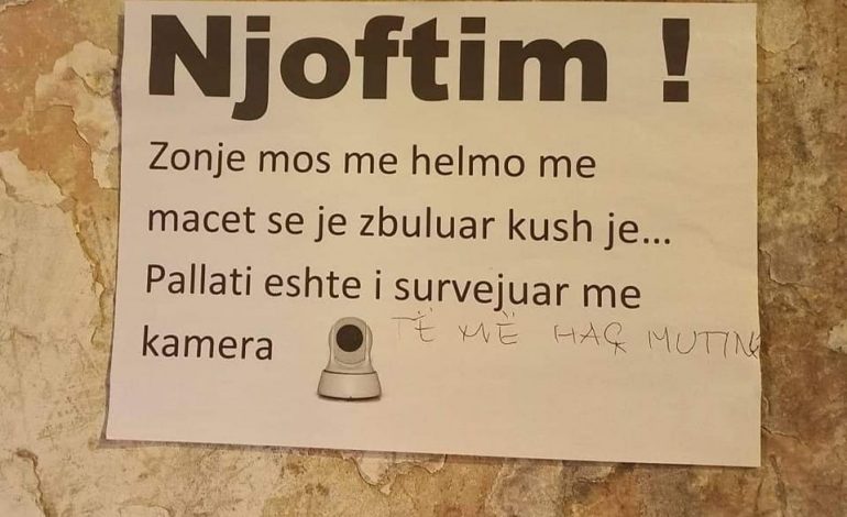 FOTOLAJM/ Sherr mes komshinjsh në Tiranë