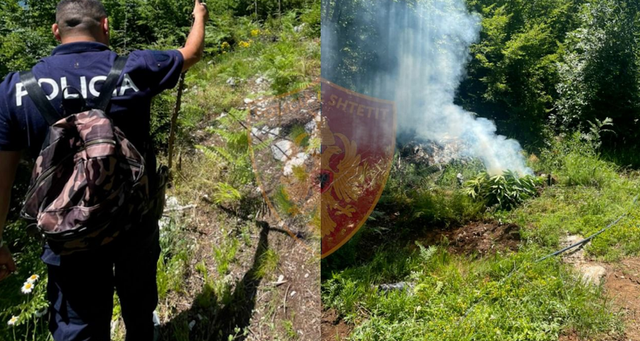 ÇFARË PO NDODH NË SHKODËR? 250 efektivë zbarkojnë në terren, mega-operacion zbulon…