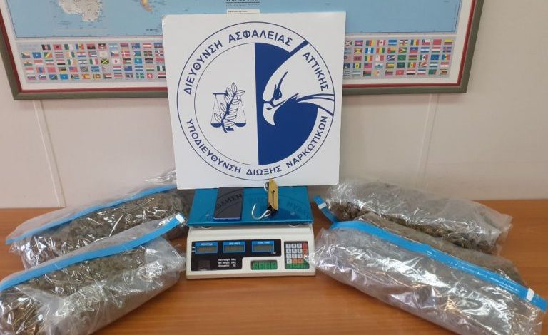 E KISHTE FSHEHUR DROGËN NË BANESË/ Polica “pikas” 27-vjeçarin shqiptar dhe i vë prangat, sekuestrohen rreth 5 kg marijuanë