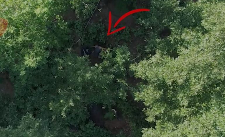 I DËNUAR ME 5 VITE BURG/ 44-vjeçari në Mat nuk heq dorë nga droga, arrestohet në arën me kanabis, shpallet në kërkim vëllai i tij
