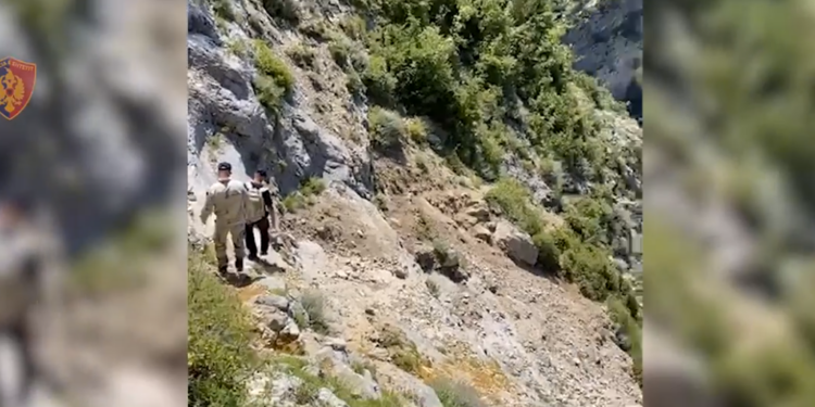 KRUJA NËN RRETHIM/ “Zbarkojnë” mbi 200 policë e 4 dronë: Zbulohet mes malit parcela me kanabis, dëmtohet…