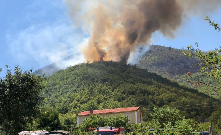 PËRKEQËSOHET SITUATA NË BERZANË TË LEZHËS/ Flakët dalin jashtë kontrollit, rrezikohen banesat