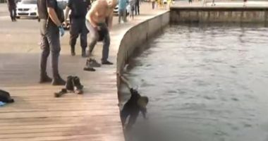 SI NË FILMA/ Burri përfundon në det, donte t’i shpëtonte arrestimit: Më lini të vdes