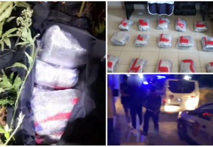 GODITJA E GRUPIT KRIMINAL NË TRAFIKUN E….”/ Sekuestrohen 30 kg kanabis të tjera në Korçë, arrestohet një 24-vjeçar! Finalizohet faza e 10 e operacionit